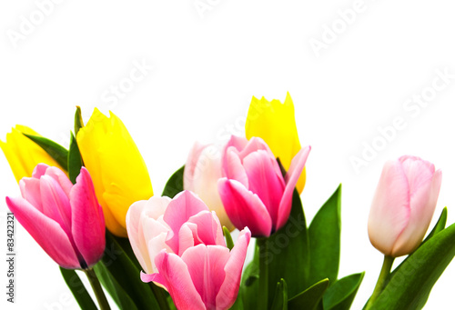 Fototapeta Naklejka Na Ścianę i Meble -  colorful tulip flowers