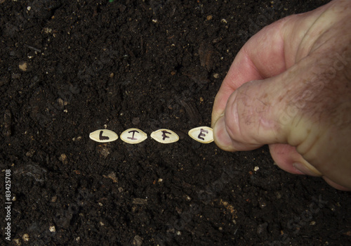 Sowing The Seed Of Life