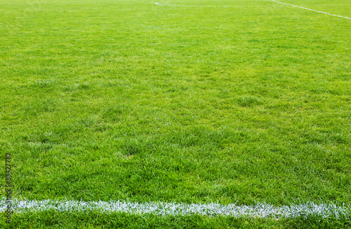 Football field stadium background