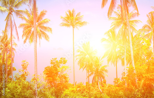 Tropical background © Goinyk