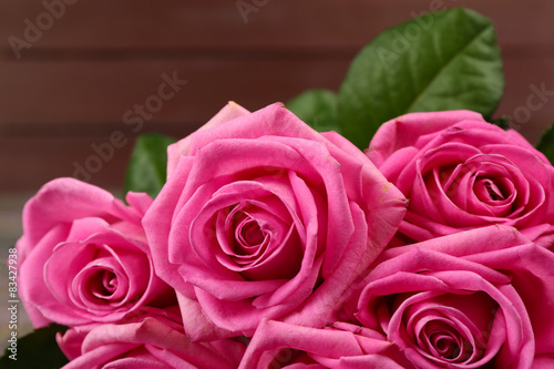 Beautiful pink roses close up