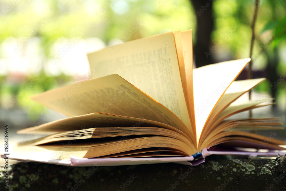 Book on tree branch, close-up Book on tree branch, close-up