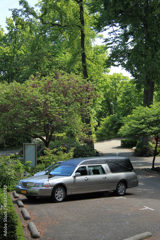Silver grey hearse Silver grey hearse