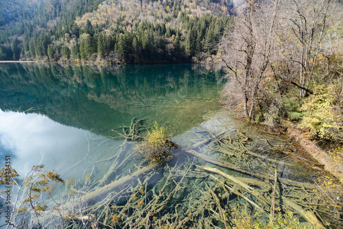 colorful lake and forset in autumn photo