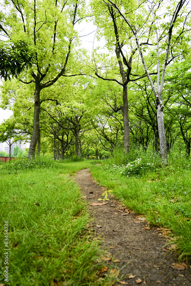 山道 山道
