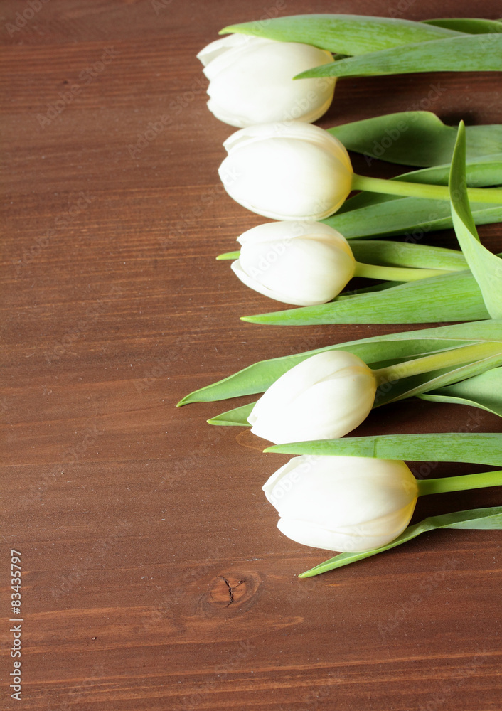 white tulips on wooden background white tulips on wooden background