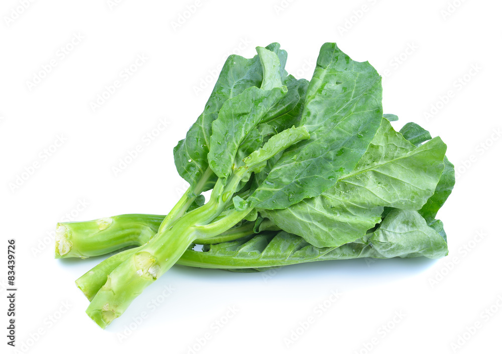 chinese broccoli on white background chinese broccoli on white background