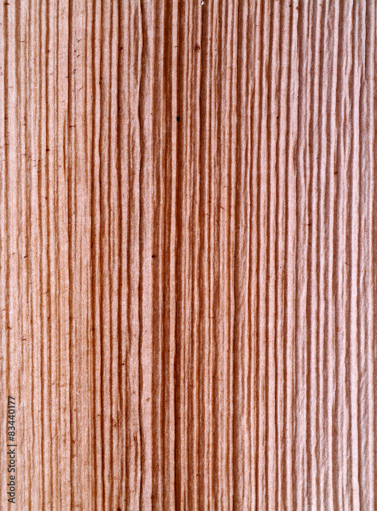 Patterned surface of the bark. Patterned surface of the bark.