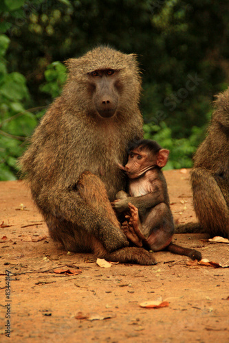 Mother&Son