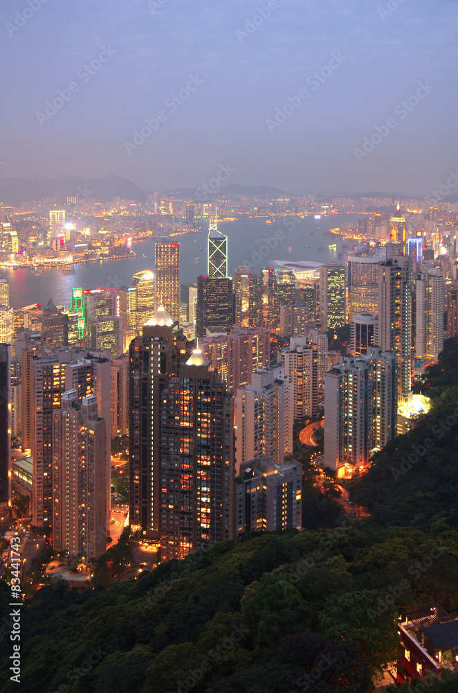 Fototapeta premium Hong Kong at night