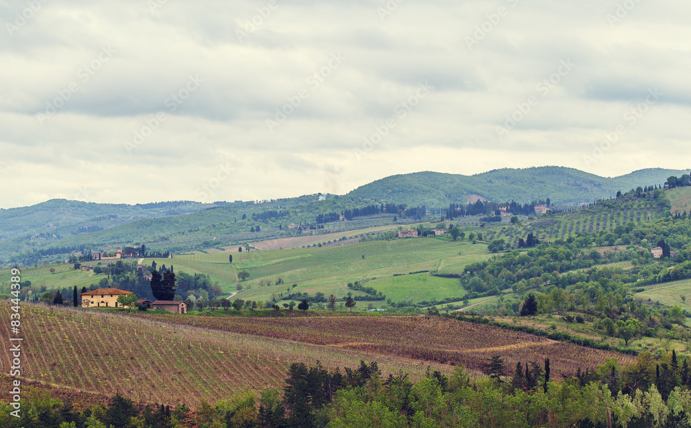 The vineyards of Chianti.