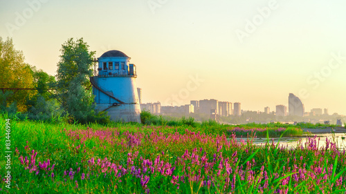 Old lighthouse and a field with flowering sage on the background