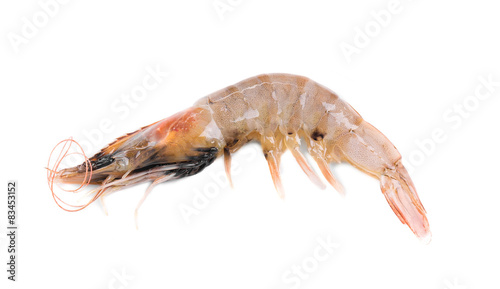 Raw tiger shrimp. © indigolotos