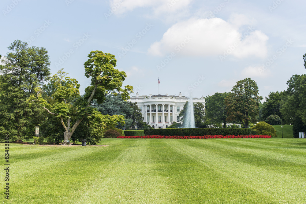 Naklejka premium White House - Washington DC