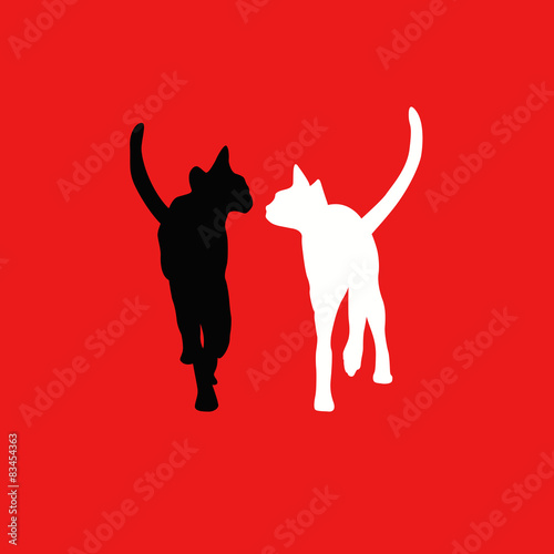 White and black cats on a red background, couple in love