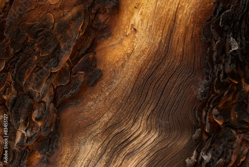 Canvas Print Traces of fire on an old wood (close up foto)