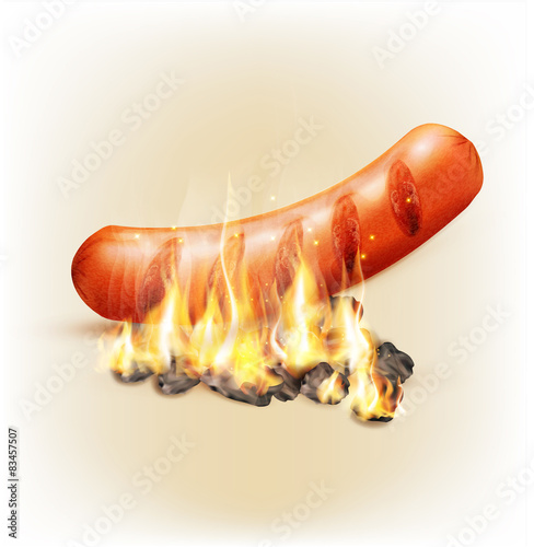 Vector sausage roasted on coals and fire