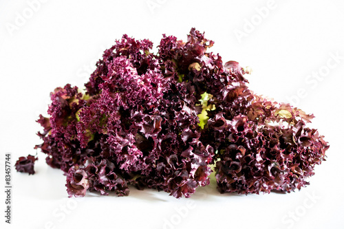 Lollo rosso isolated