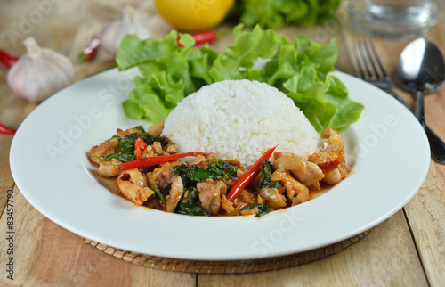 stir fried chicken with holy basil and hot chilli
