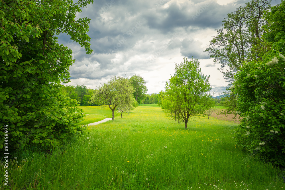 Obraz premium Meadows and clouds in spring