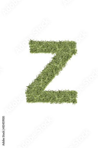 The letter from the alphabet of arugula