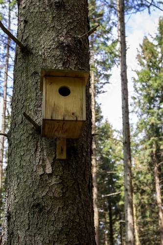 Ein Nistkasten im Wald