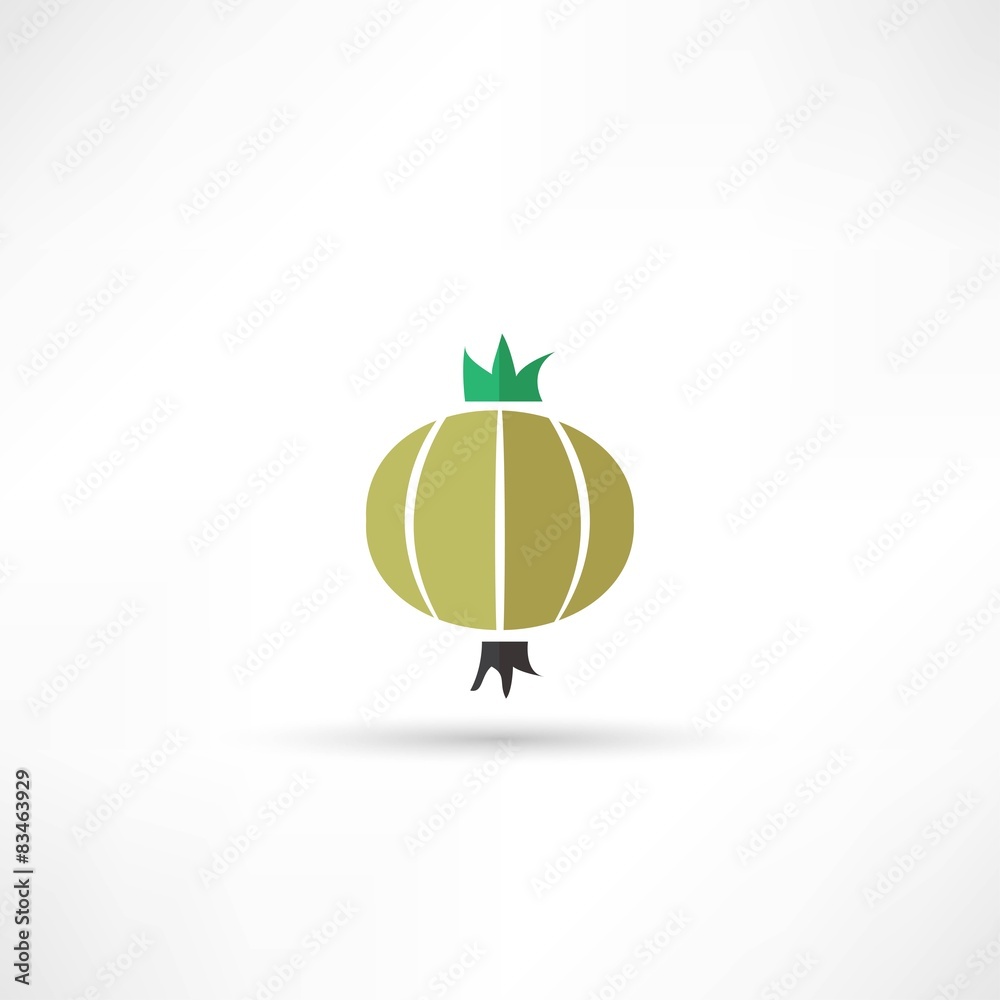 Obraz premium Onion vector icon