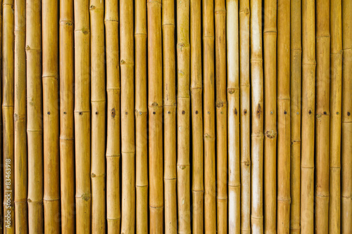 bamboo fence