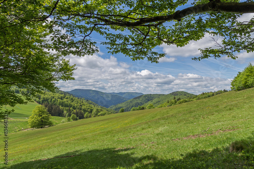 paysage des Vosges