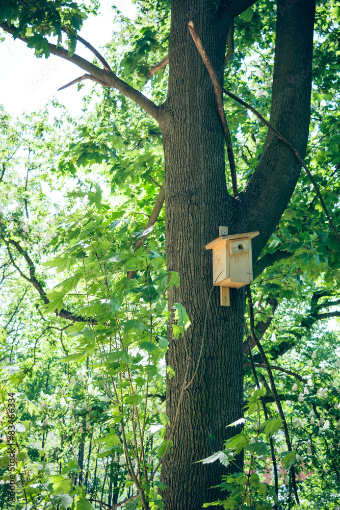 Birdhouse on tree Birdhouse on tree