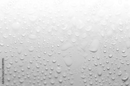 Wallpaper Mural water drops on a white background. close-up Torontodigital.ca