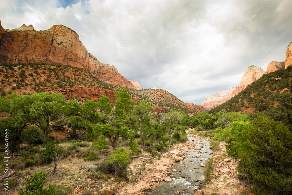 Obraz premium Paysage de Zion