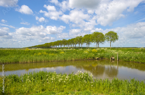 Canal through sunny farmland in spring
