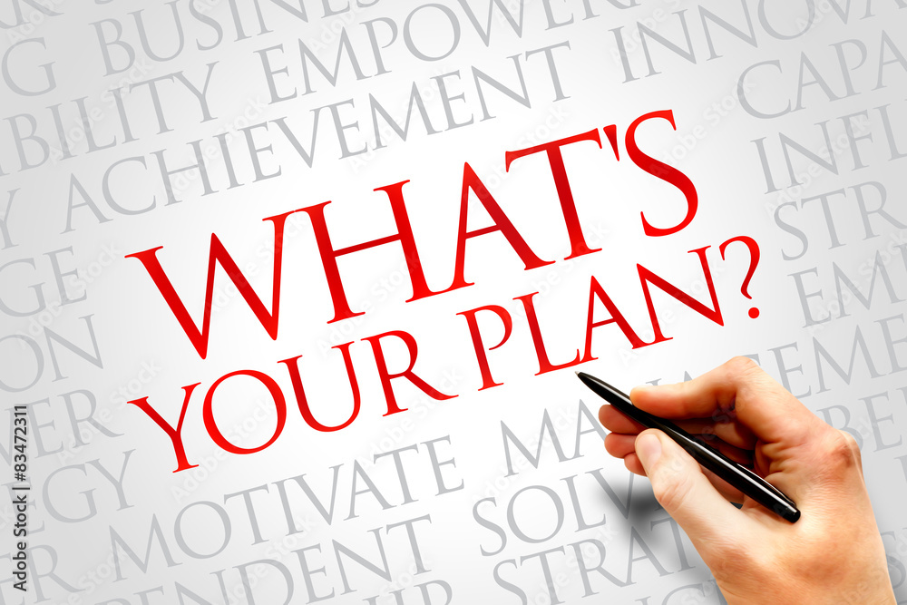 What's Your Plan word cloud, business concept What's Your Plan word cloud, business concept