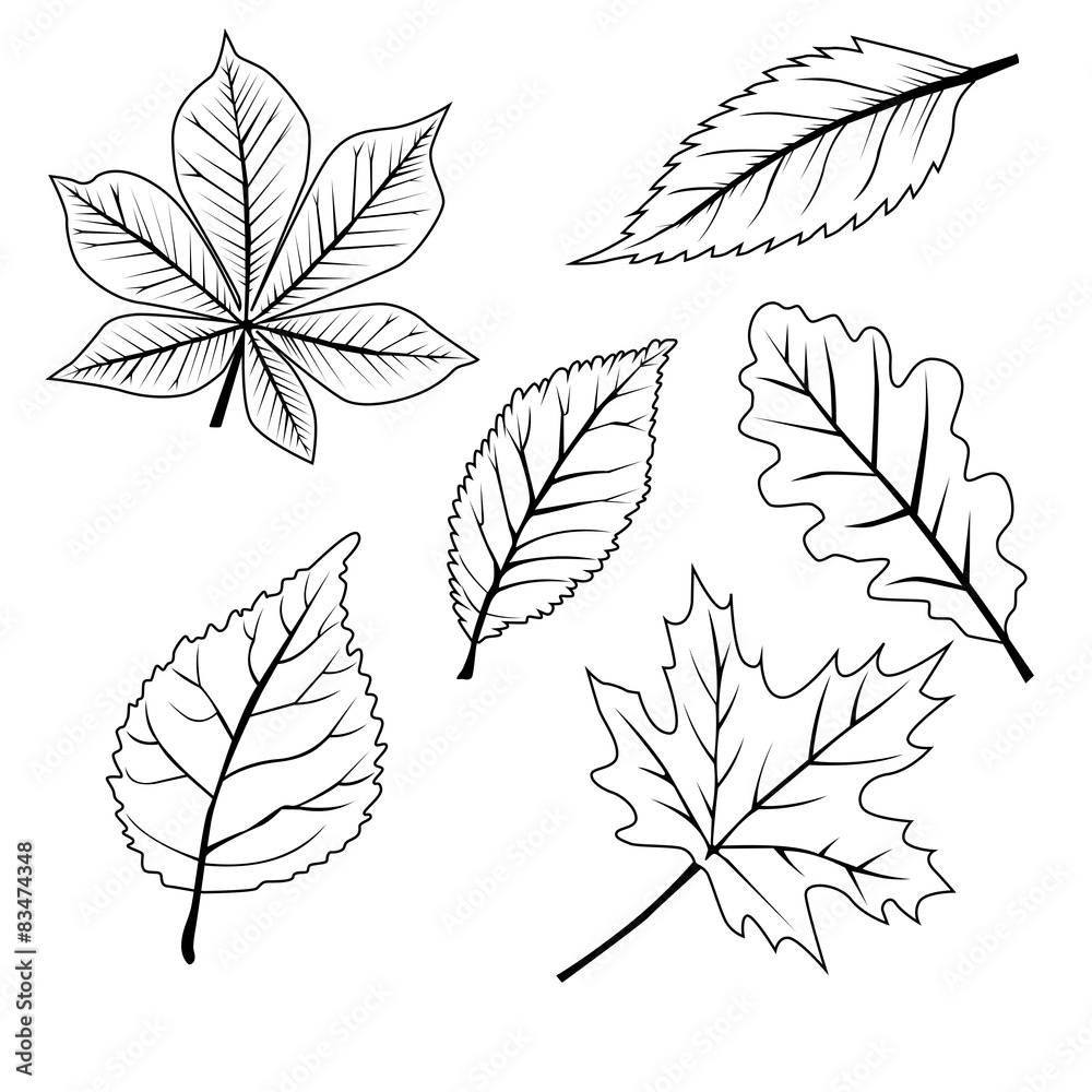 set of leafs