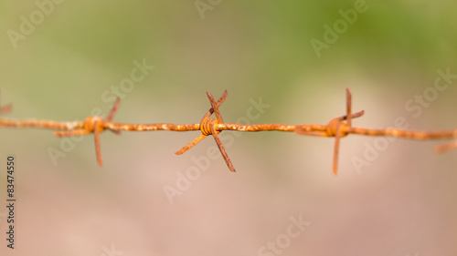 barbed wire on nature © schankz