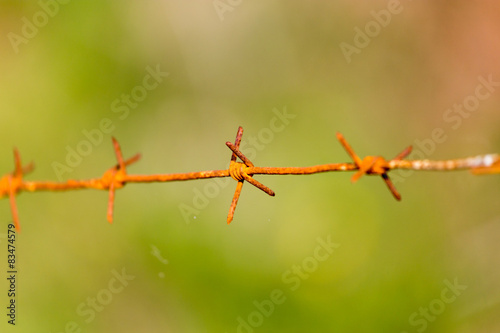 barbed wire on nature © schankz