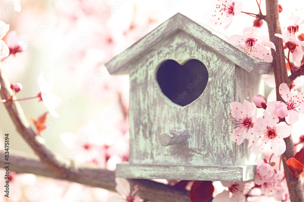 Decorative nesting box on bright background Decorative nesting box on bright background