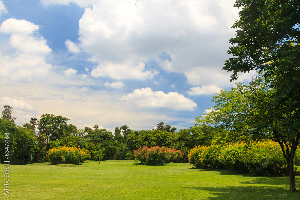Fototapeta premium Beautiful park