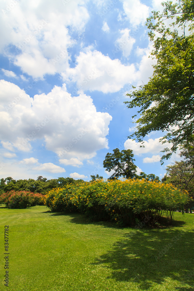 Beautiful park