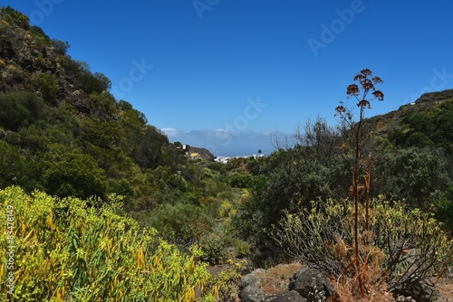 Gran Canaria - Barranco de los Cernicalos photo