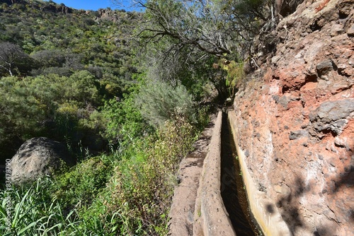 Gran Canaria - Barranco de los Cernicalos photo