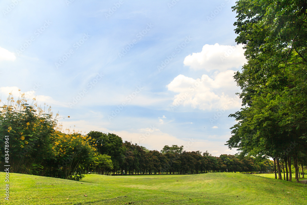 Obraz premium Beautiful park