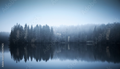 Landscape with threes on a coast, fog and still lake
