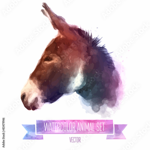Vector set of watercolor illustrations. Cute donkey