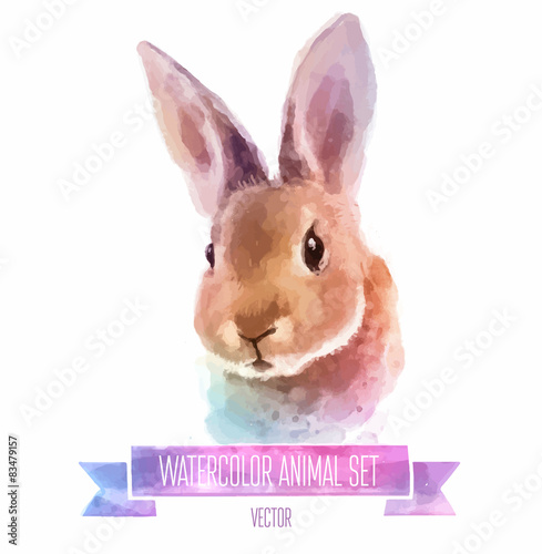 Vector set of watercolor illustrations. Cute Rabbit