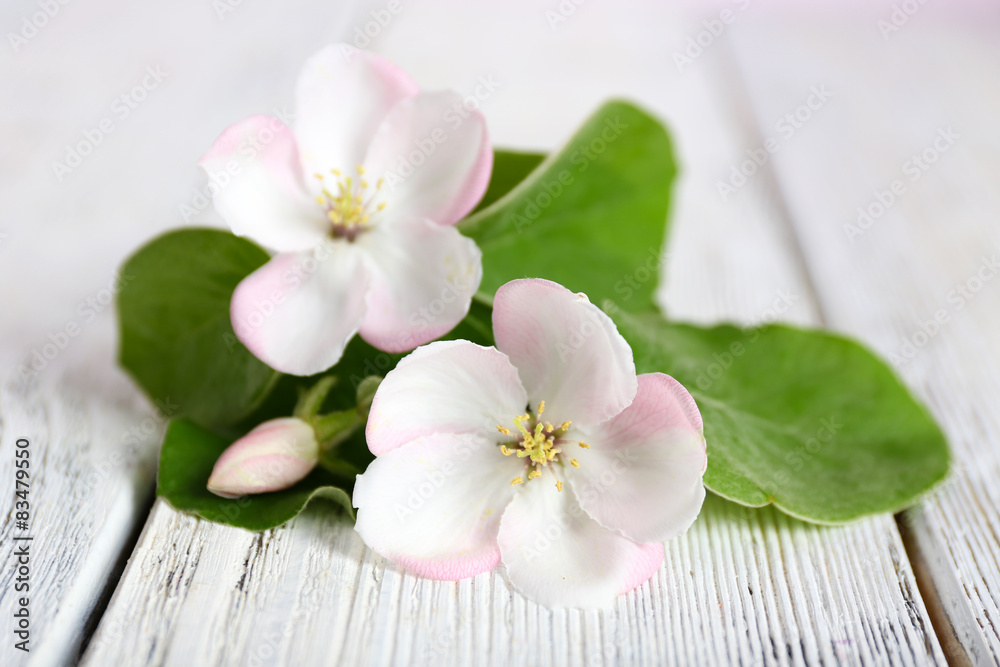 Apple blossom with leaves on wooden table Apple blossom with leaves on wooden table