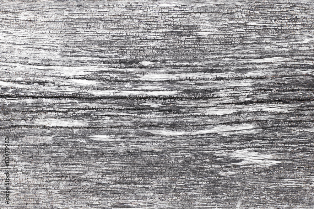 Obraz premium Old wood texture.