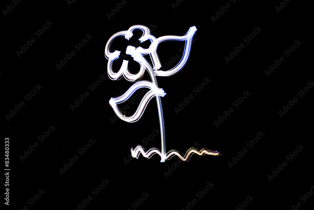 Fototapeta premium Blume