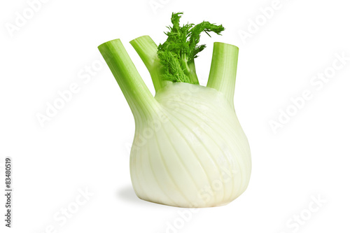 Fennel isolated on white